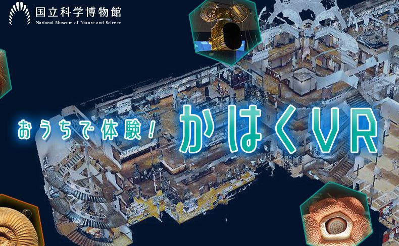 Musée National De La Nature Et Des Sciences De Tokyo le-musee-national-de-la-nature-et-des-sciences-de-tokyo-se-lance-dans-la-visite-virtuelle