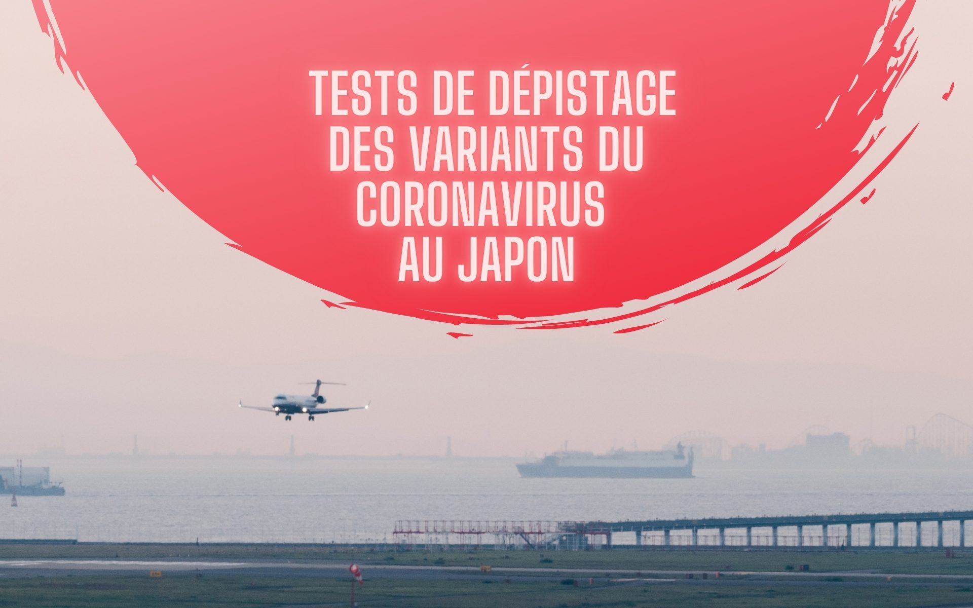 🛬 Le Japon envisage des tests de dépistage des variants du coronavirus