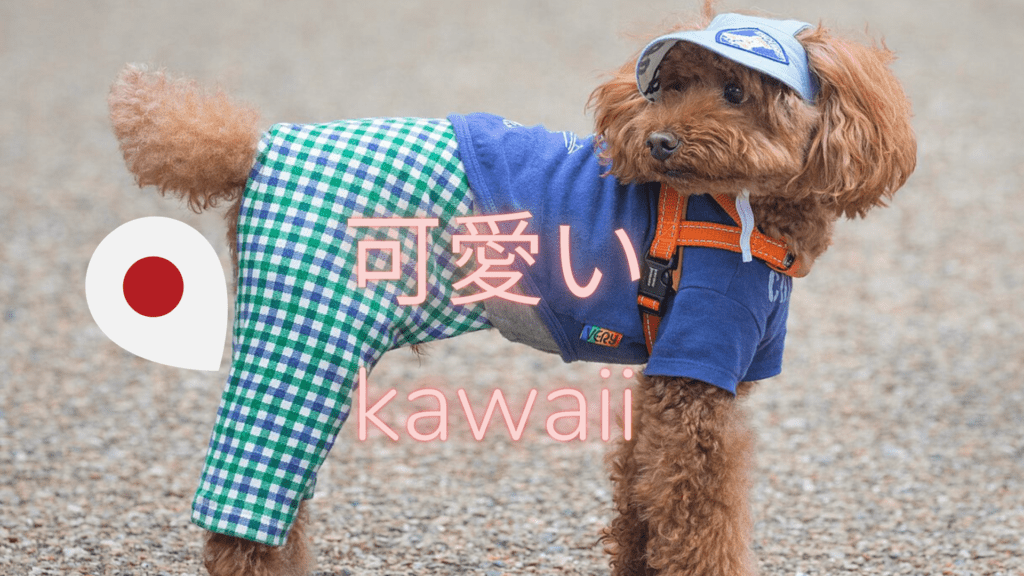 可愛い  culture Kawaii Japon