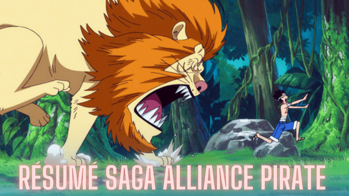 One Piece r sum de la Saga - One Piece Resume Saga Alliance Pirate 1200x675
