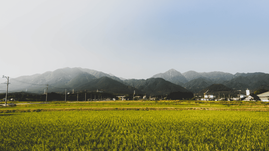 voyager dans le Japon rural