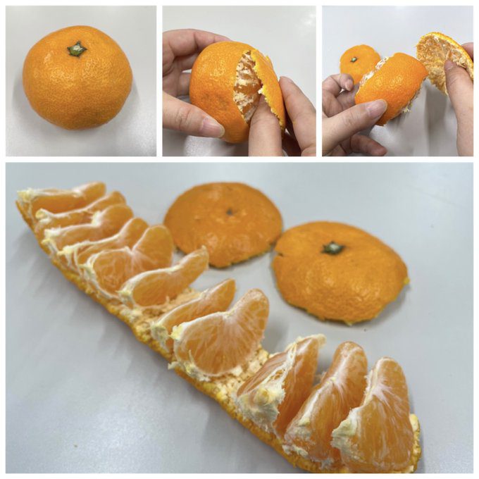 meilleure manière d'éplucher une mandarine selon le japon