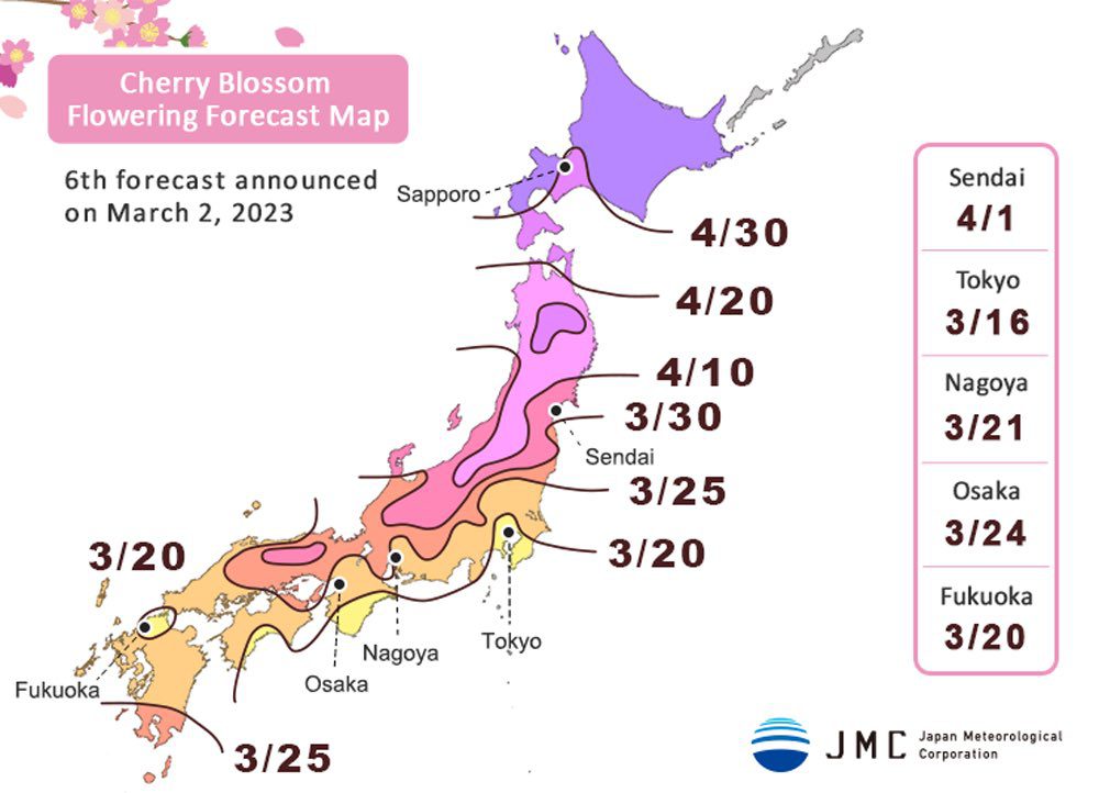 Saison et dates de floraison des cerisiers au Japon