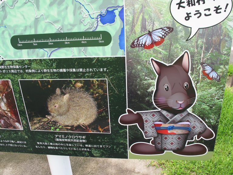 Autocollant Vinyle B-SIDE Loutre De Mer Du Japon - Espèce Menacée, Face B, Multi