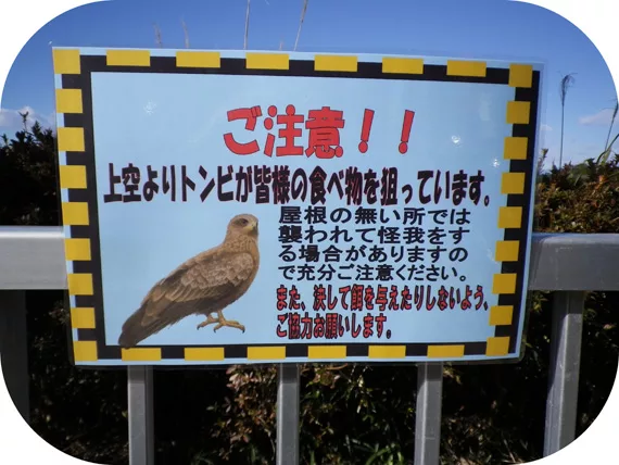 Japon Attaques d'Oiseaux