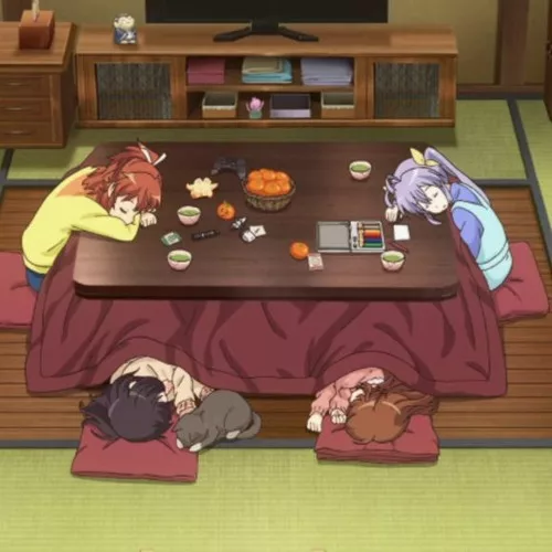 kotatsu anime