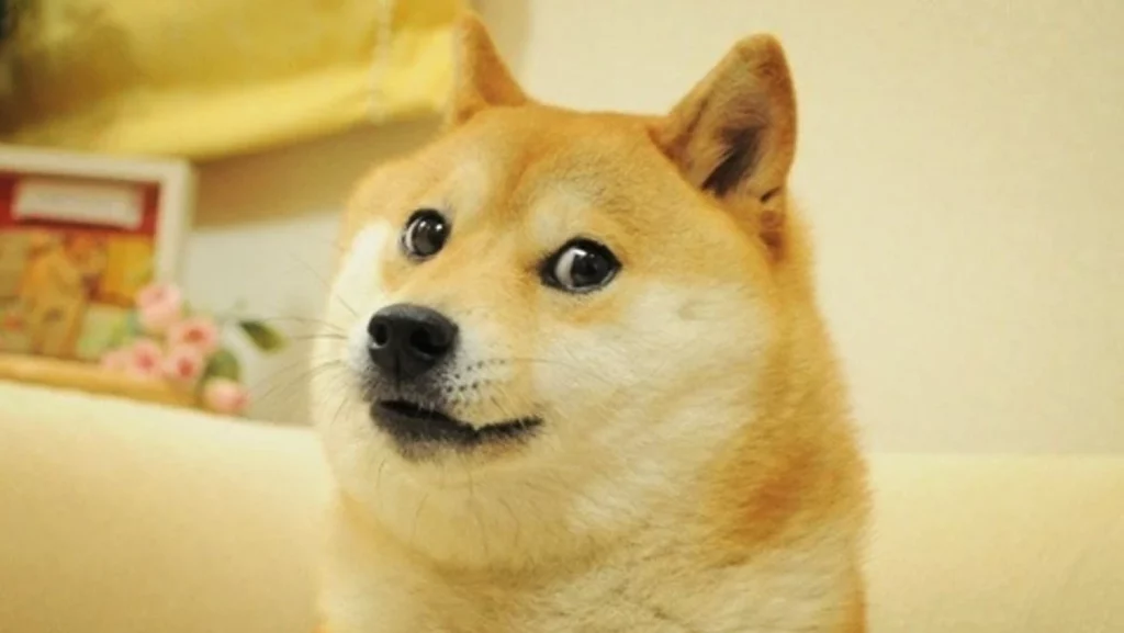 Doge Mème Japonais