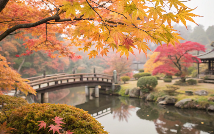 Meilleurs Festivals et Événements Automnaux au Japon de Novembre