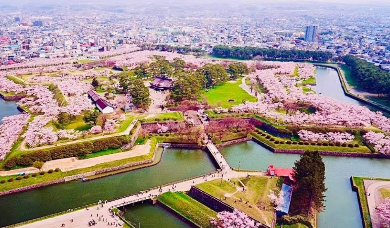 Hakodate 101