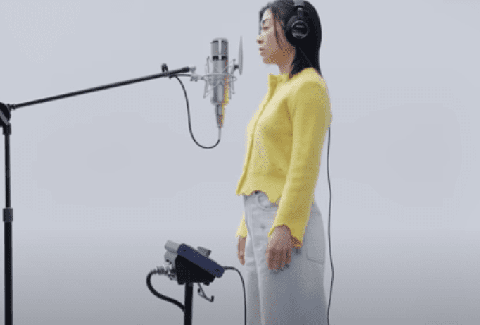 Hikaru Utada politique
