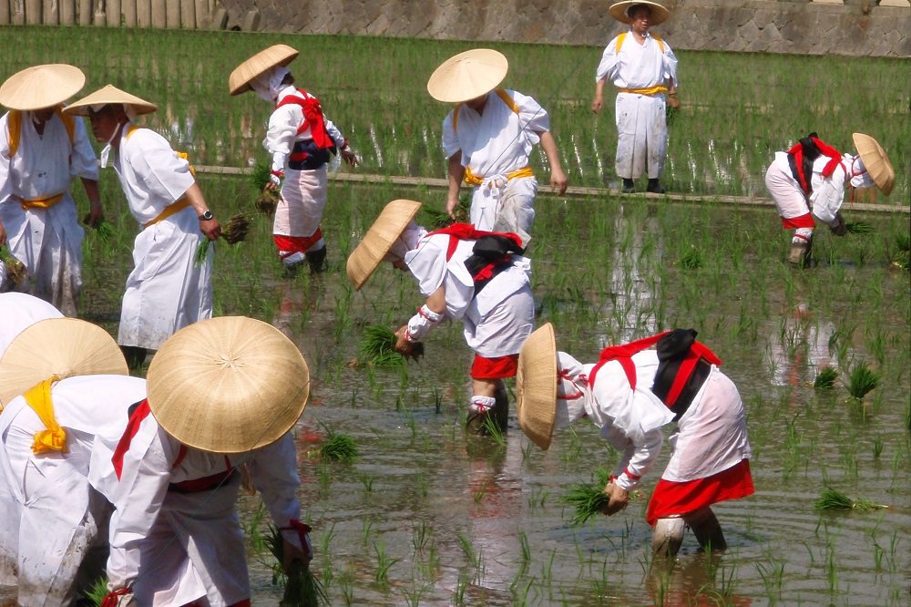 Otaue Shinji à Osaka