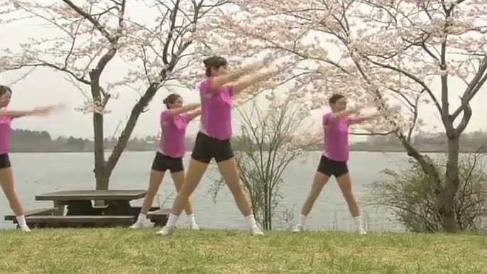 gymnastique japonaise