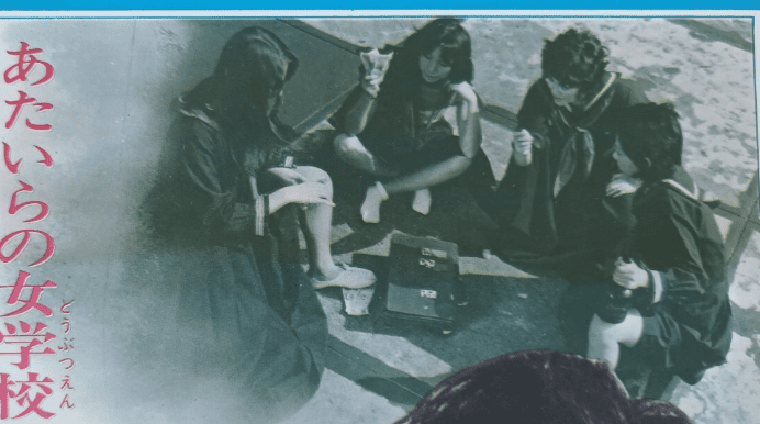 Sukeban gang