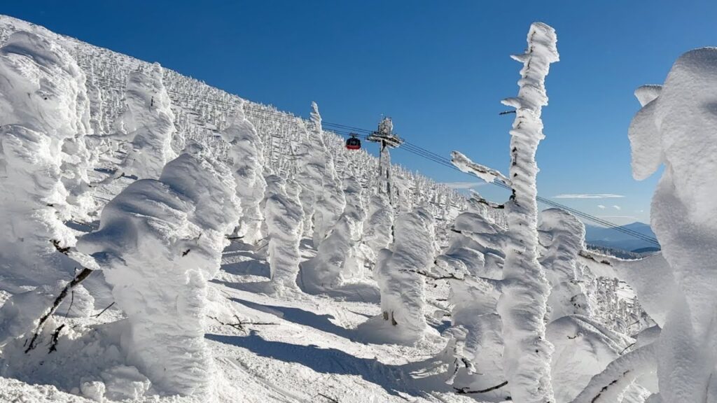 Japon peut-il sauver ses snow monsters